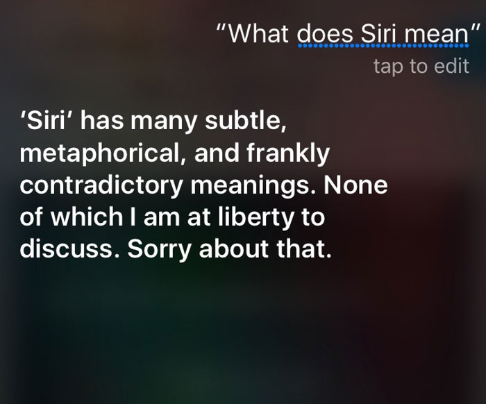 30 Cheeky Answers Given By Siri