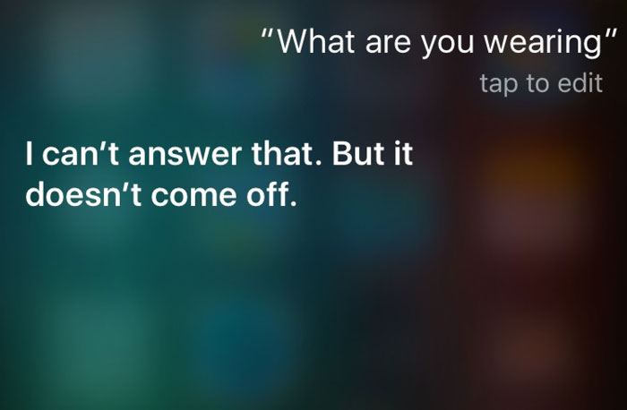 30 Cheeky Answers Given By Siri