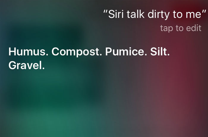 30 Cheeky Answers Given By Siri