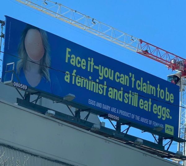 irritating images - billboard - Faceityou can't claim tobe a feminist and still eat eggs. 080589 Eggs And Dairy Are A Product Of The Abuse Of Female 080590