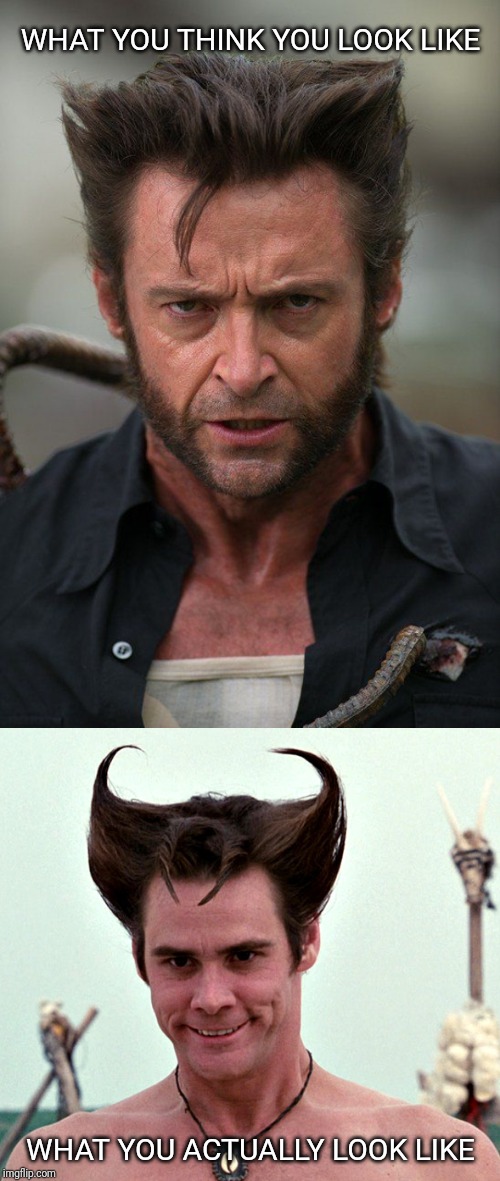 Random Pics - wolverine hair - What You Think You Look What You Actually Look imgflip.com