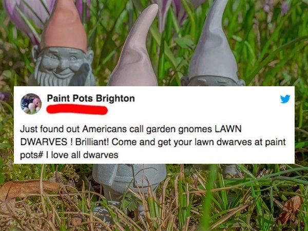grass - Paint Pots Brighton Just found out Americans call garden gnomes Lawn Dwarves ! Brilliant! Come and get your lawn dwarves at paint pots# I love all dwarves