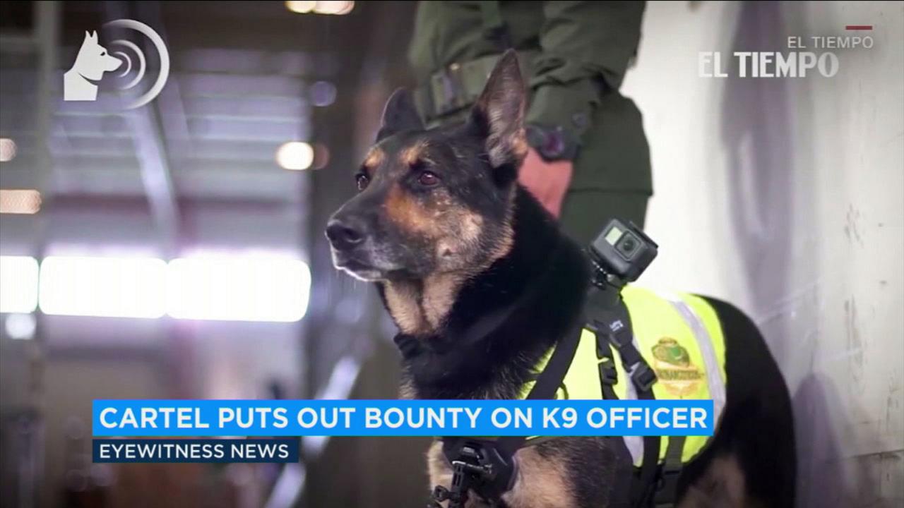 A Colombian cartel once put a $70,000 hit on a police dog.