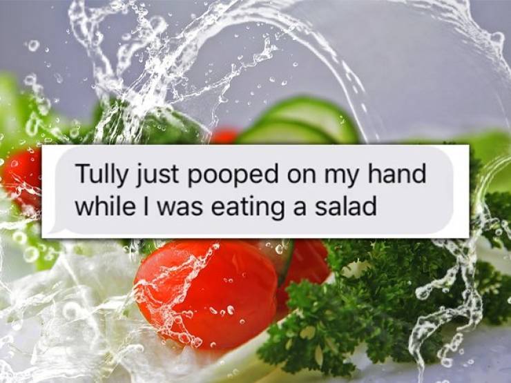 fresh food - Tully just pooped on my hand while I was eating a salad