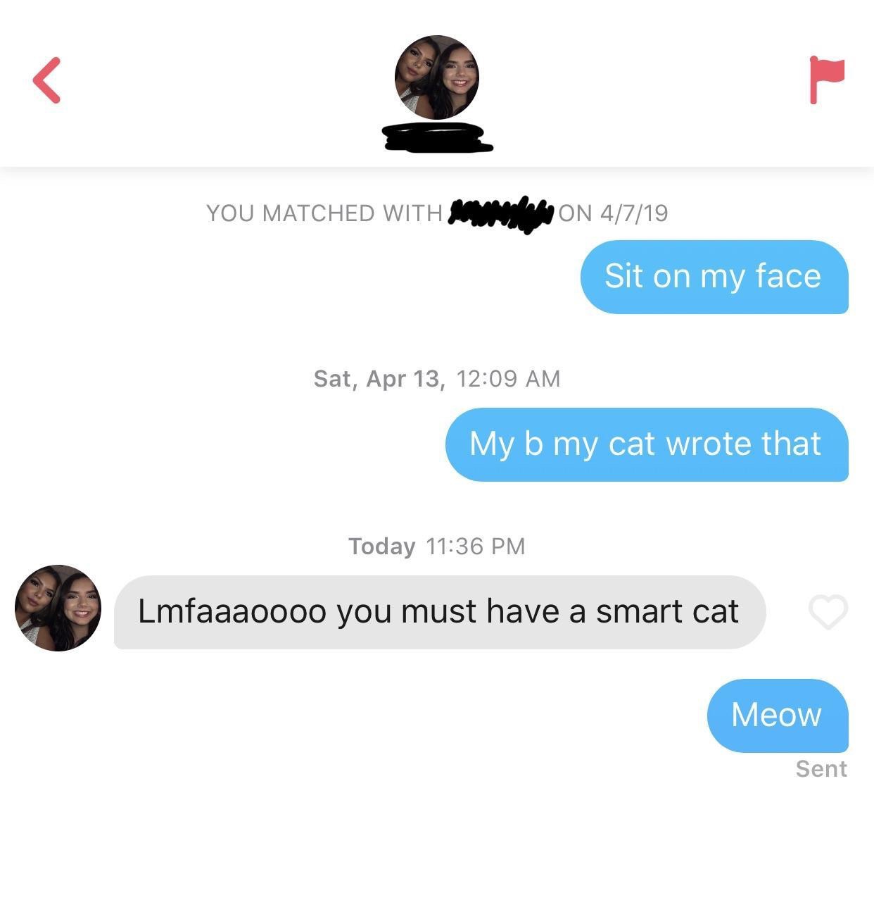 tinder - media - You Matched With M Oon 4719 Sit on my face Sat, Apr 13, My b my cat wrote that Today Lmfaaaoooo you must have a smart cat Meow Sent