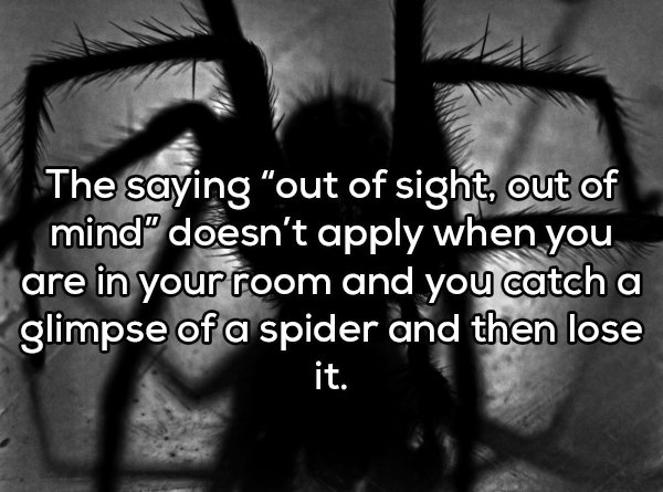 Shower thoughts - creepy bugs black and white - The saying "out of sight, out of mind doesn't apply when you are in your room and you catch a glimpse of a spider and then lose