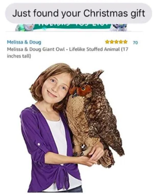 melissa & doug lifelike plush owl - Just found your Christmas gift 70 Melissa & Doug Melissa & Doug Giant Owl Life Stuffed Animal 17 inches tall
