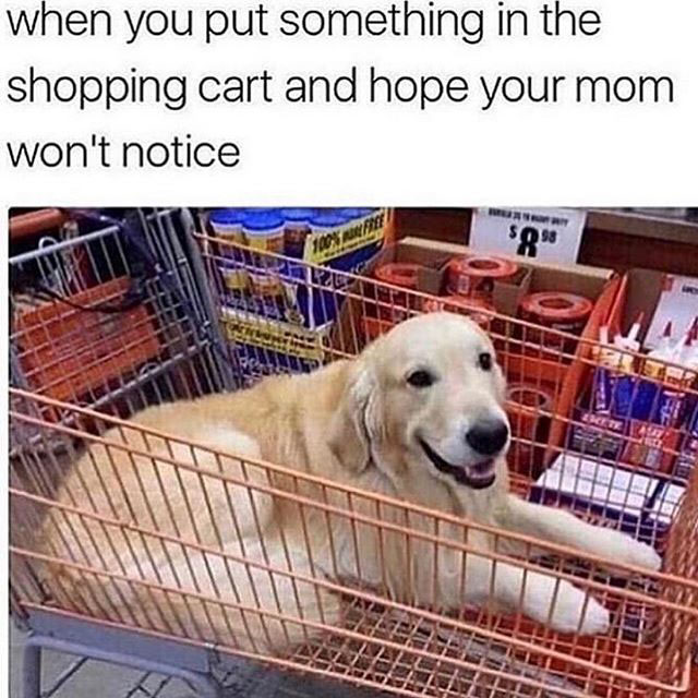 funny grocery shopping memes - when you put something in the shopping cart and hope your mom won't notice $99