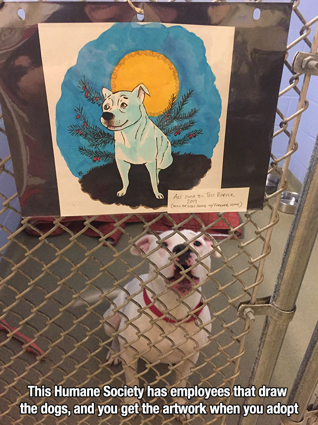cartoon - Aer Done By Tess Roever 2014 ww Searg w foreve Home This Humane Society has employees that draw the dogs, and you get the artwork when you adopt