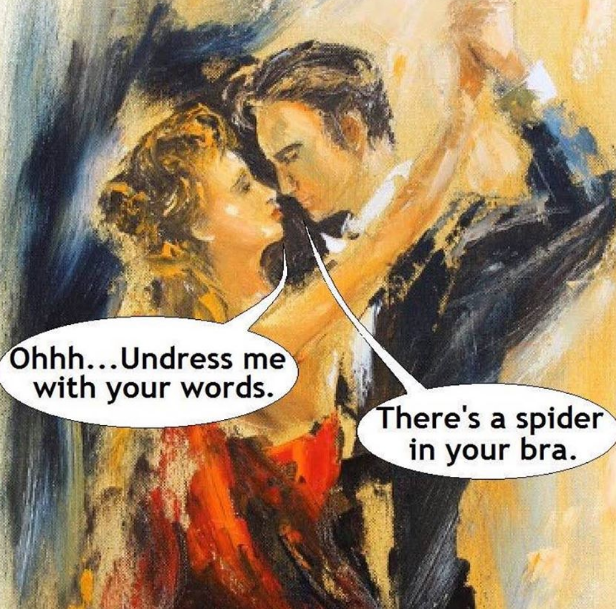 undress me with your words - Ohhh...Undress me with your words. There's a spider in your bra.