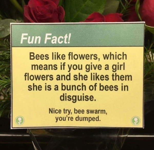 sign - Fun Fact! Bees flowers, which means if you give a girl flowers and she them she is a bunch of bees in disguise. Nice try, bee swarm, you're dumped.