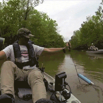 alligator kayak gif