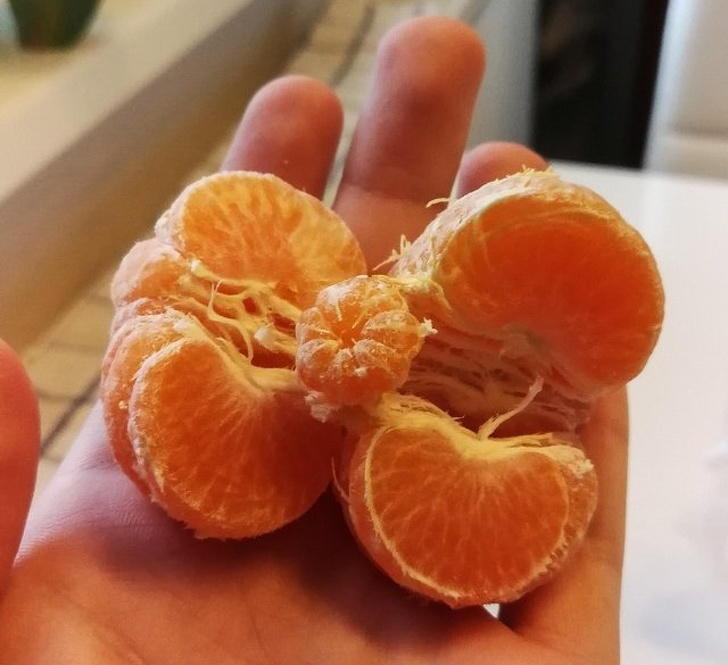 photos of interesting things - clementine