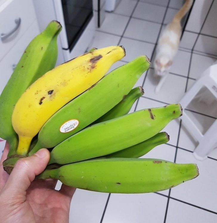 photos of interesting things - saba banana