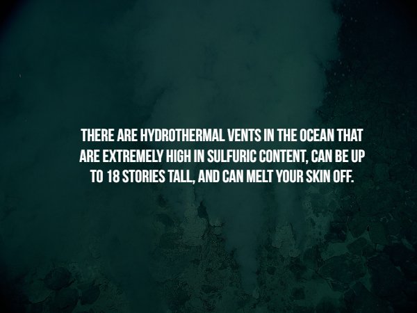 can i disturb you - There Are Hydrothermal Vents In The Ocean That Are Extremely High In Sulfuric Content, Can Be Up To 18 Stories Tall, And Can Melt Your Skin Off.