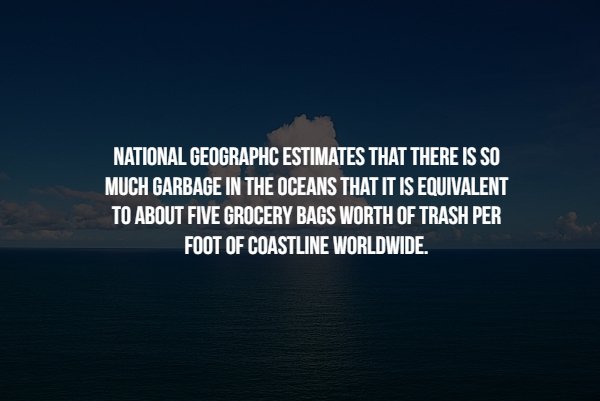 sky - National Geographc Estimates That There Is So Much Garbage In The Oceans That It Is Equivalent To About Five Grocery Bags Worth Of Trash Per Foot Of Coastline Worldwide.