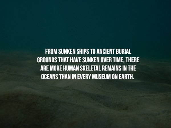 atmosphere - From Sunken Ships To Ancient Burial Grounds That Have Sunken Over Time, There Are More Human Skeletal Remains In The Oceans Than In Every Museum On Earth.