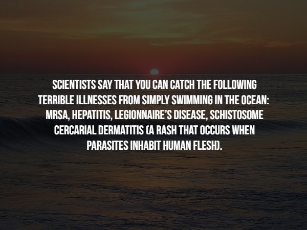 criminal minds - Scientists Say That You Can Catch The ing Terrible Illnesses From Simply Swimming In The Ocean Mrsa, Hepatitis, Legionnaire'S Disease, Schistosome Cercarial Dermatitis A Rash That Occurs When Parasites Inhabit Human Flesh.