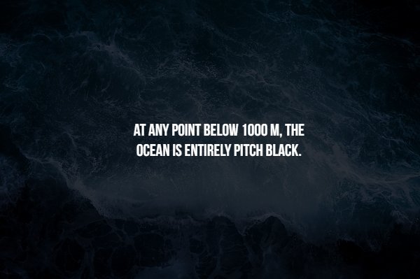 atmosphere - At Any Point Below 1000 M, The Ocean Is Entirely Pitch Black.