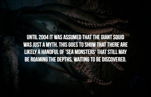 darkness - Until 2004 It Was Assumed That The Giant Squid Was Just A Myth. This Goes To Show That There Are ly A Handful Of 'Sea Monsters' That Still May Be Roaming The Depths. Waiting To Be Discovered. 90 Soos