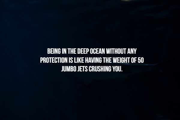 長渕 剛 single collection - Being In The Deep Ocean Without Any Protection Is Having The Weight Of 50 Jumbo Jets Crushing You.