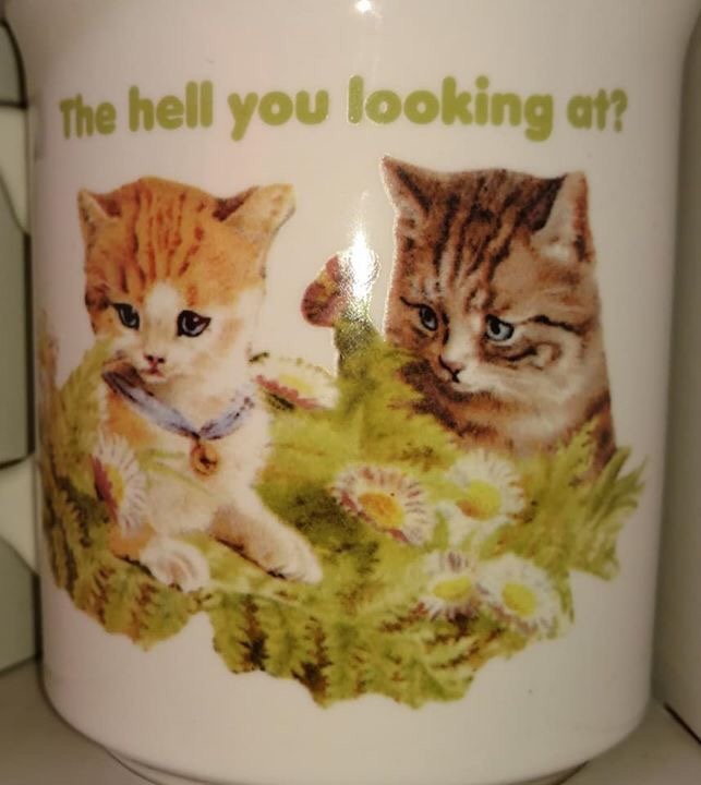 Mug - The hell you looking at?