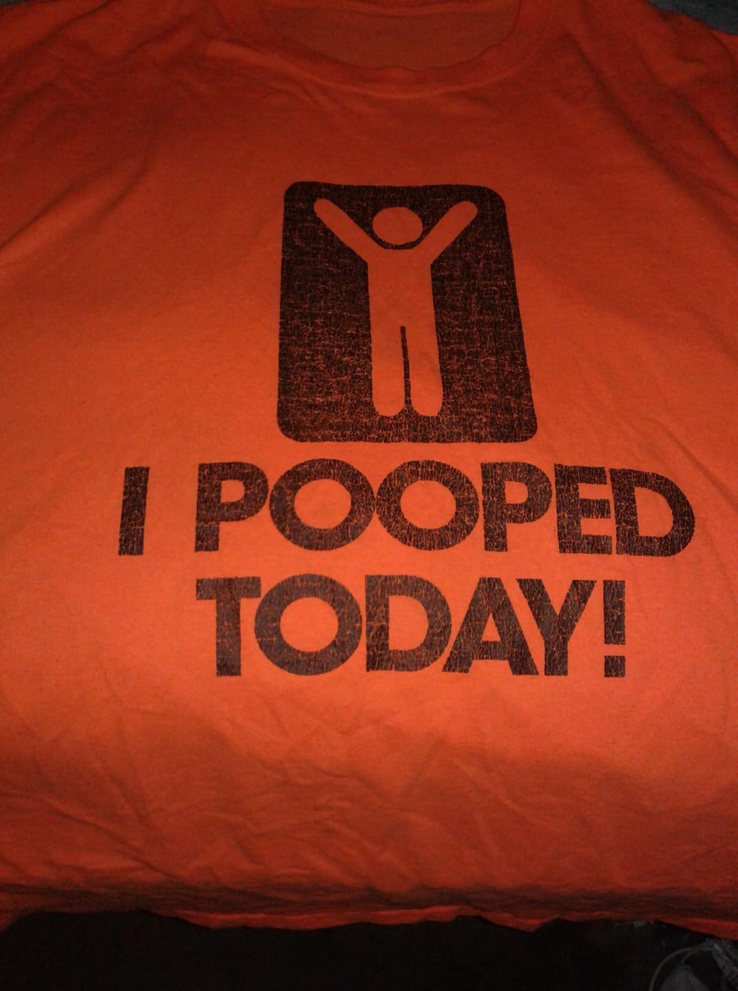 t shirt - I Pooped Today!