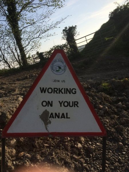 tree - Join Us Working On Your Anal