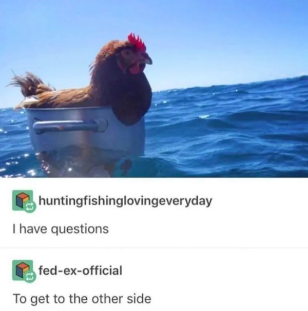 chicken ocean meme - huntingfishinglovingeveryday I have questions fedexofficial To get to the other side
