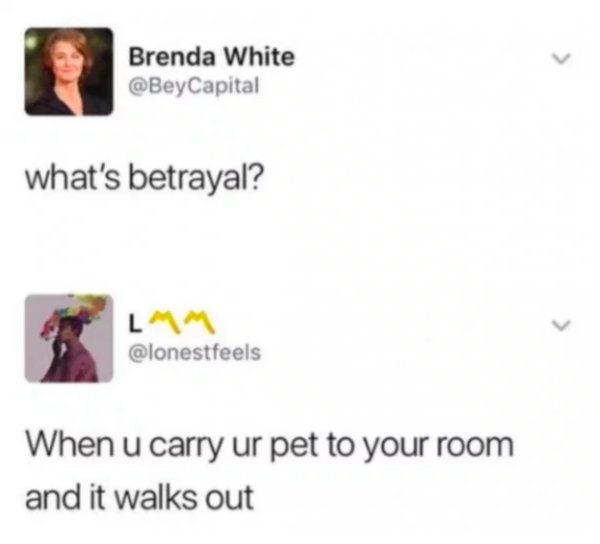 what's betrayal - Brenda White Capital what's betrayal? When u carry ur pet to your room and it walks out
