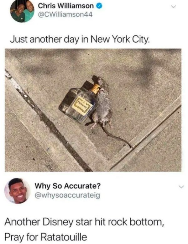 drunk ratatouille meme - Chris Williamson Just another day in New York City. Why So Accurate? Another Disney star hit rock bottom, Pray for Ratatouille