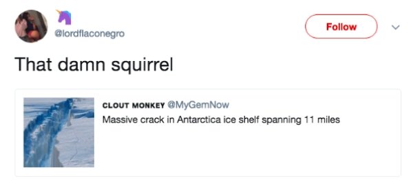media - That damn squirrel Clout Monkey Massive crack in Antarctica ice shelf spanning 11 miles