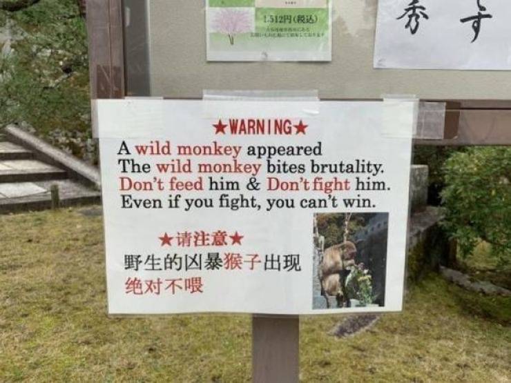 even if you fight you can t win - 11,512 Warning A wild monkey appeared The wild monkey bites brutality, Don't feed him & Don't fight him. Even if you fight, you can't win.
