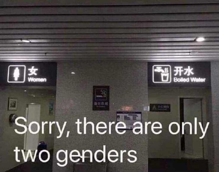 mildly offensive memes - Women Boiled Water Sorry, there are only two genders