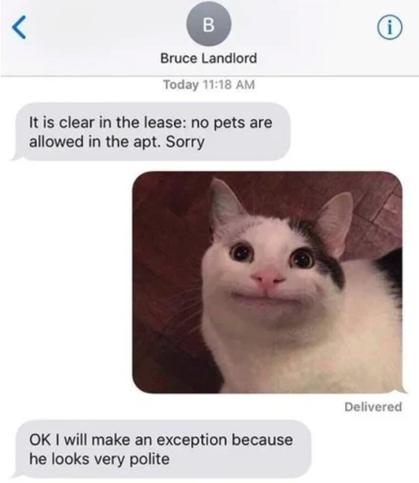 polite cat landlord - Bruce Landlord Today It is clear in the lease no pets are allowed in the apt. Sorry Delivered Ok I will make an exception because he looks very polite