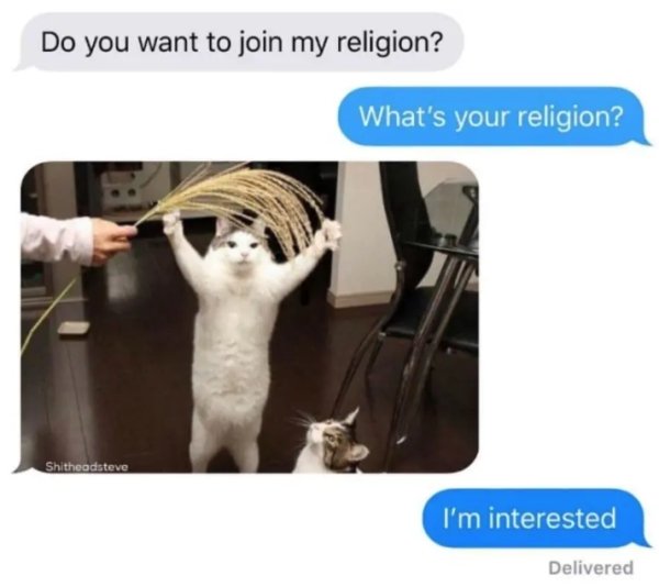 cat religion meme - Do you want to join my religion? What's your religion? Shitheadsteve I'm interested Delivered