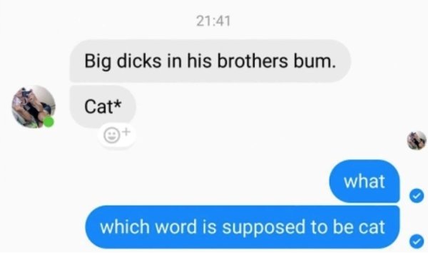 big dicks in little brother's bum cat meme - Big dicks in his brothers bum. Cat what which word is supposed to be cat