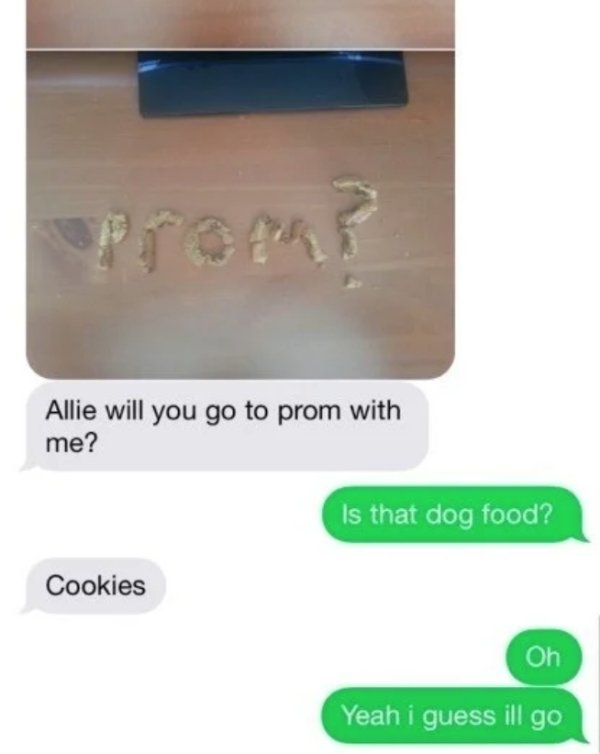 material - Allie will you go to prom with me? Is that dog food? Cookies Oh Yeah i guess ill go