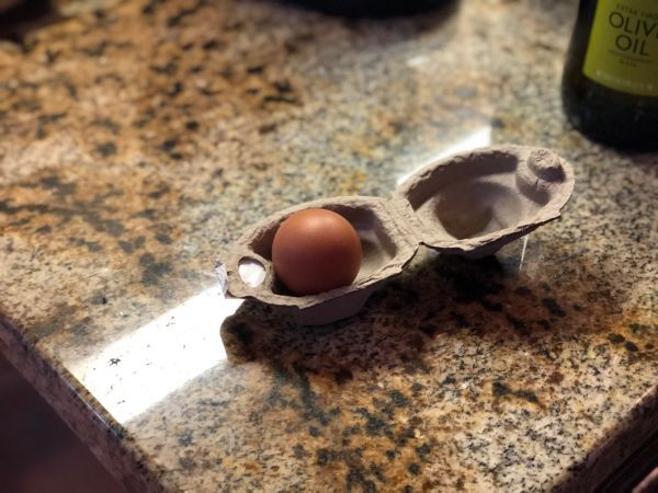 single egg in a carton - Oliv Oil