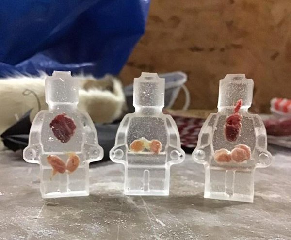 Mouse organs encased in Lego resin.