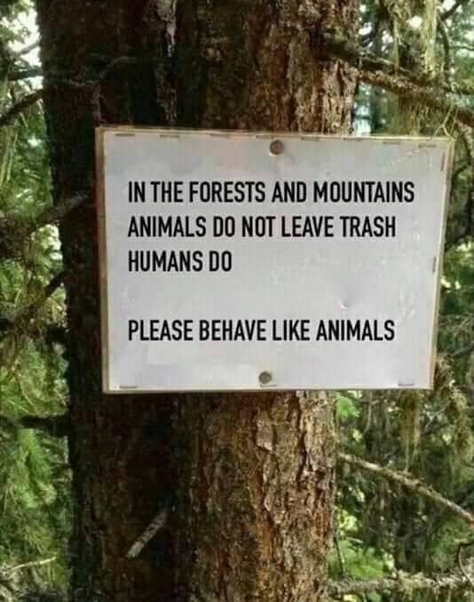 funny pics and memes - please behave like animals - In The Forests And Mountains Animals Do Not Leave Trash Humans Do Please Behave Animals