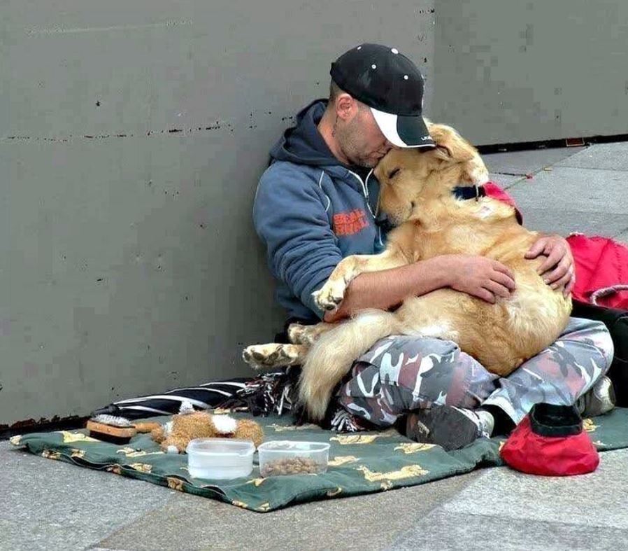 Homeless man provides for this dog.