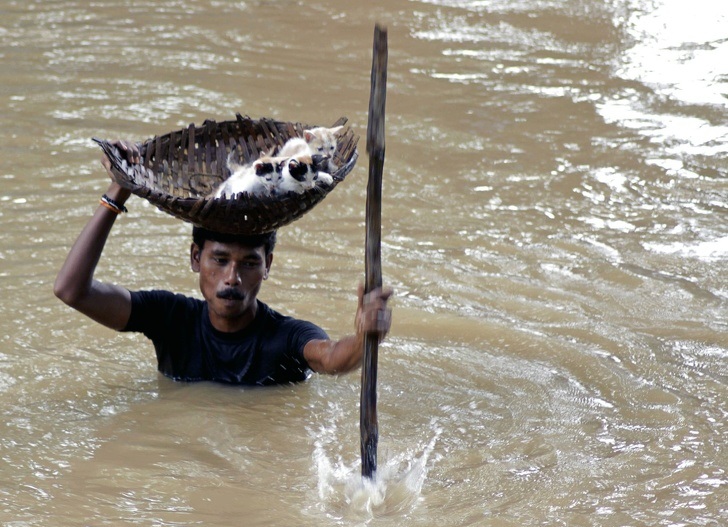 Risking his life to save kittens.