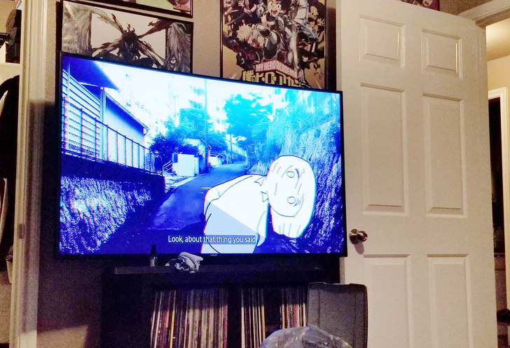 55 inch TV was saved from a dumpster.