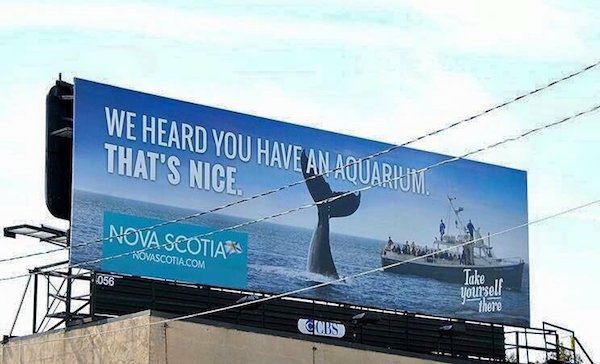 nova scotia billboard in toronto - We Heard You Have An Aquarium. That'S Nice. Nova Scotias Novascotia.Com Here Ccbs