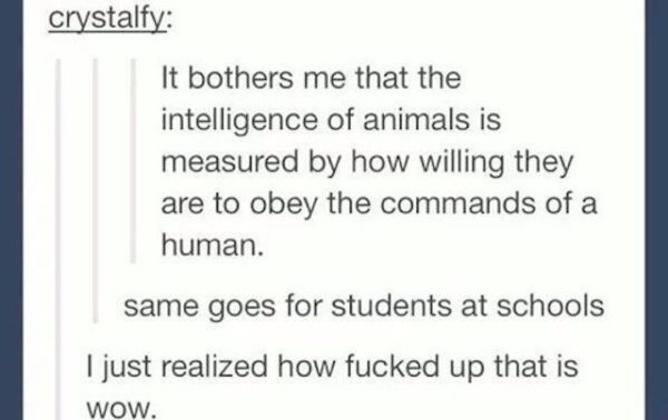 squid soap - crystalfy It bothers me that the intelligence of animals is measured by how willing they are to obey the commands of a human. same goes for students at schools I just realized how fucked up that is Wow.