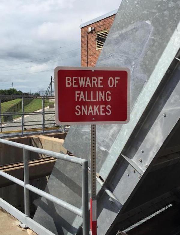 cursed images - Warning sign - Beware Of Falling Snakes