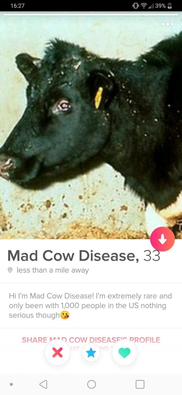 tinder - mad cow disease symptoms - 0 39% Mad Cow Disease, 33 less than a mile away Hi I'm Mad Cow Disease! I'm extremely rare and only been with 1,000 people in the Us nothing serious though Mad Cow Diseasfit Drofile