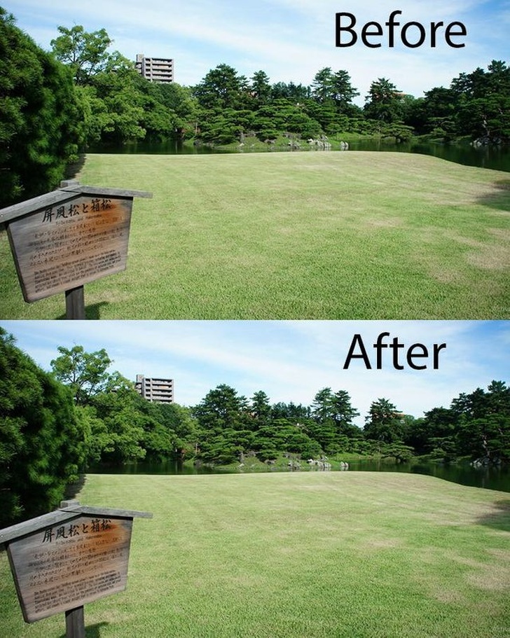 park cleanup before and after - Before After ce