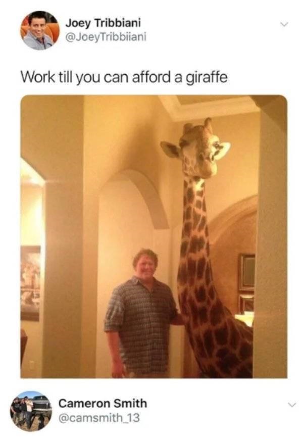 odd flex but ok meme - Joey Tribbiani Tribbiiani Work till you can afford a giraffe Cameron Smith